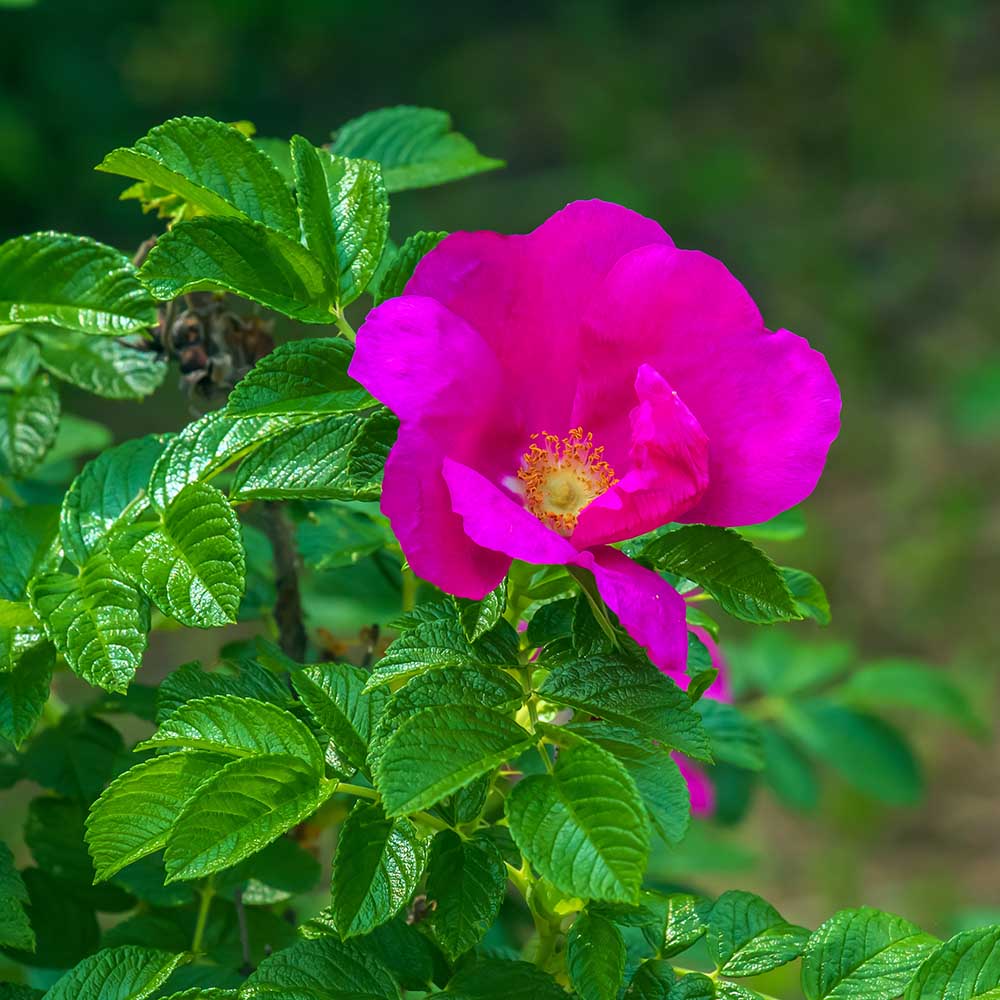 a7dedcfa1841afe3e623b500755b3a95