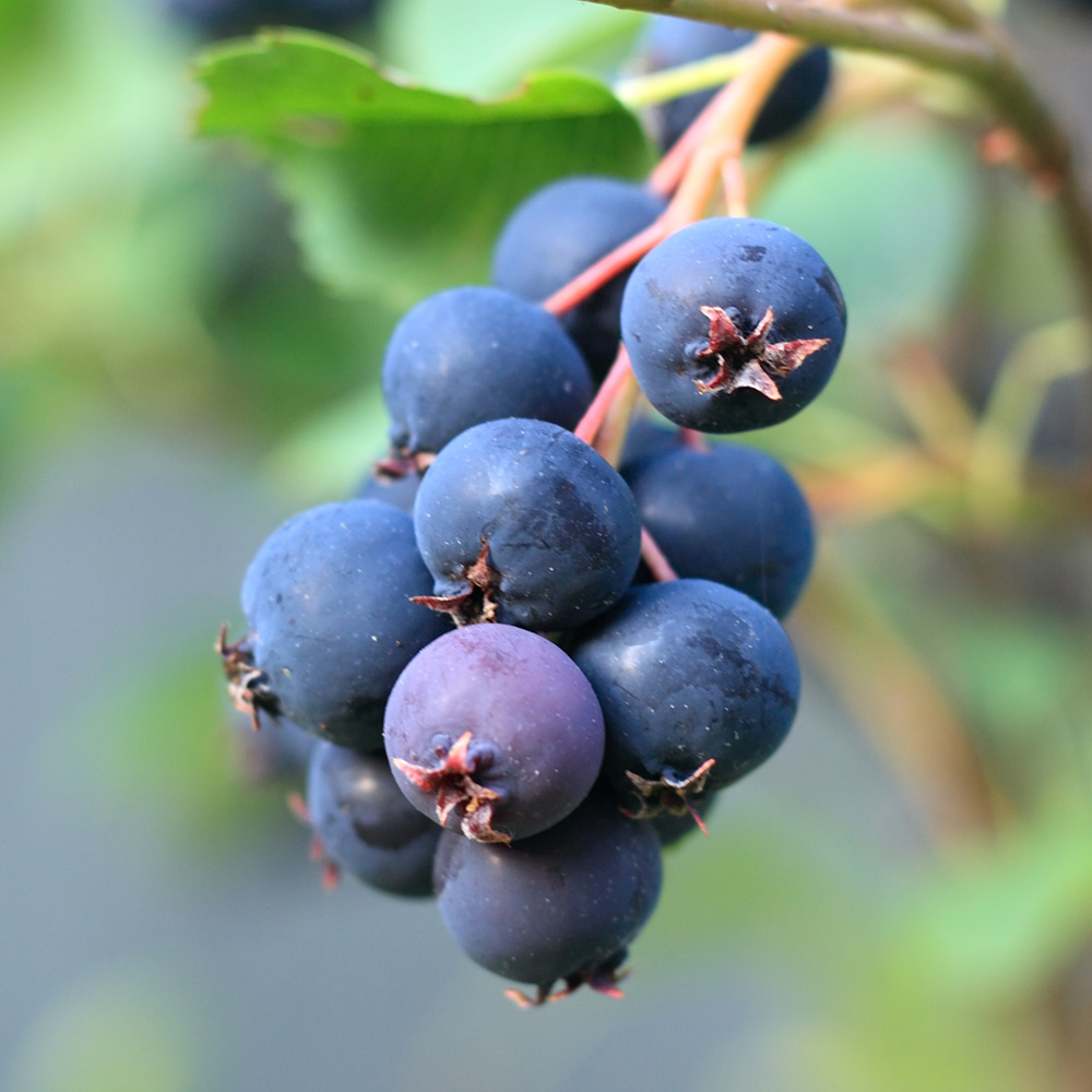 1b6b9ad1b96f00730005e43e56f93cd4