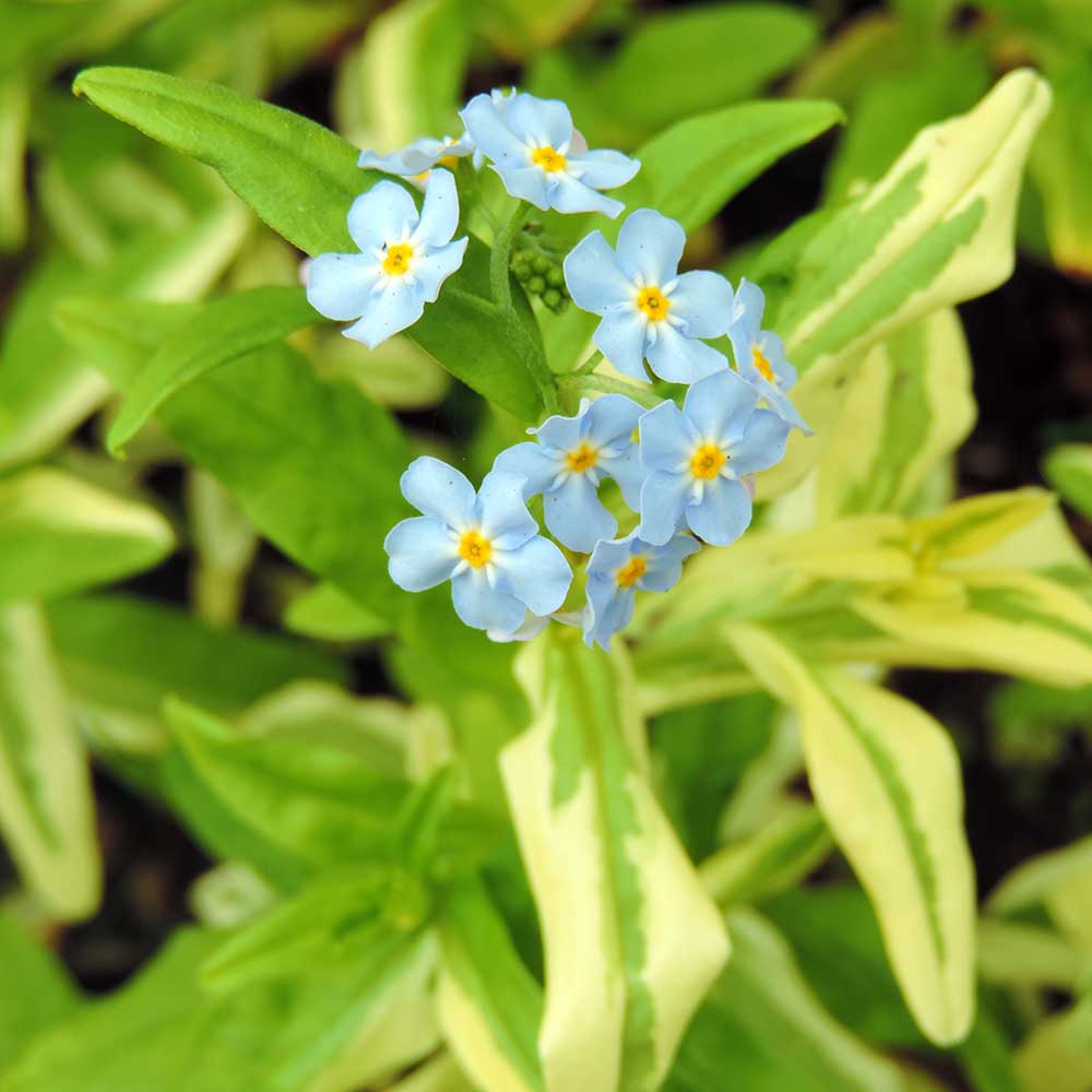 f4aef39897641f2d8695e7af646ad5db