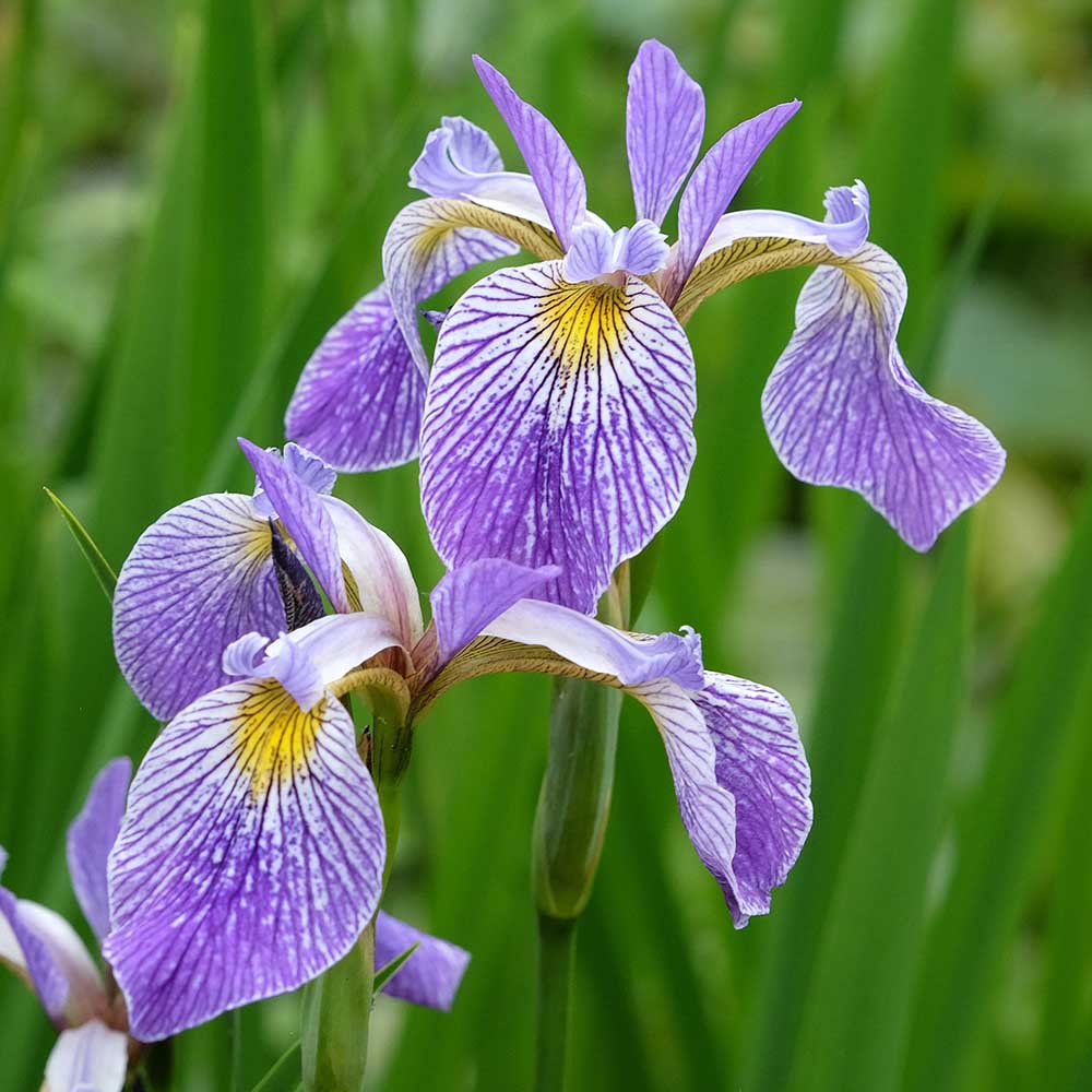 842fb632017b4eb64a874af735145e88