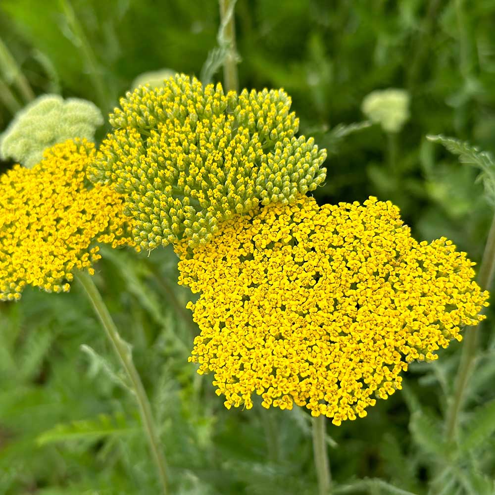 82e5a3d4d6d413b7bbb0c1c228a827bd