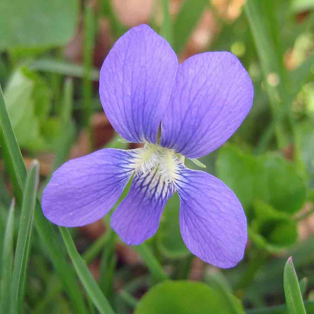 df31a80e3618aff1d1f6594e4462401a