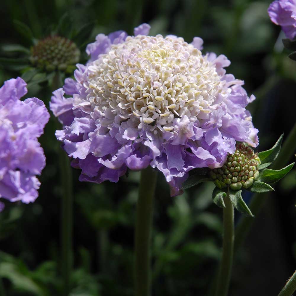 f35baea4d6252b3fb7d5b7b98906c696