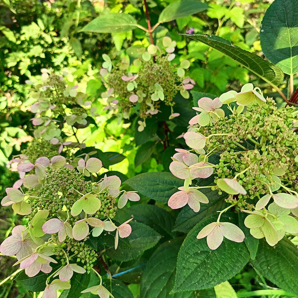 056436802e09da260a022fa0b159ce3b