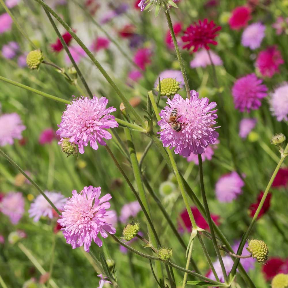 b90544712e856b84e62c9733a368ff93