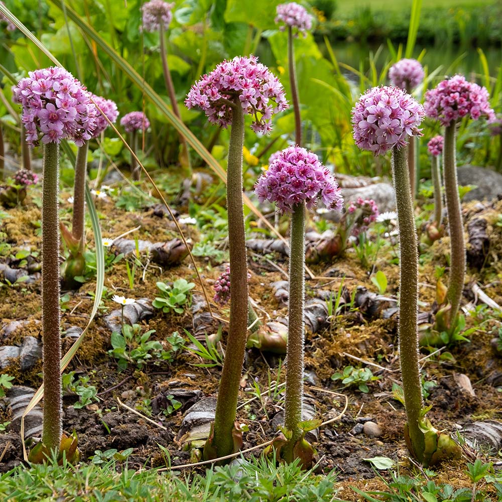 70c071b86c56c20ac4552f5638afac7a