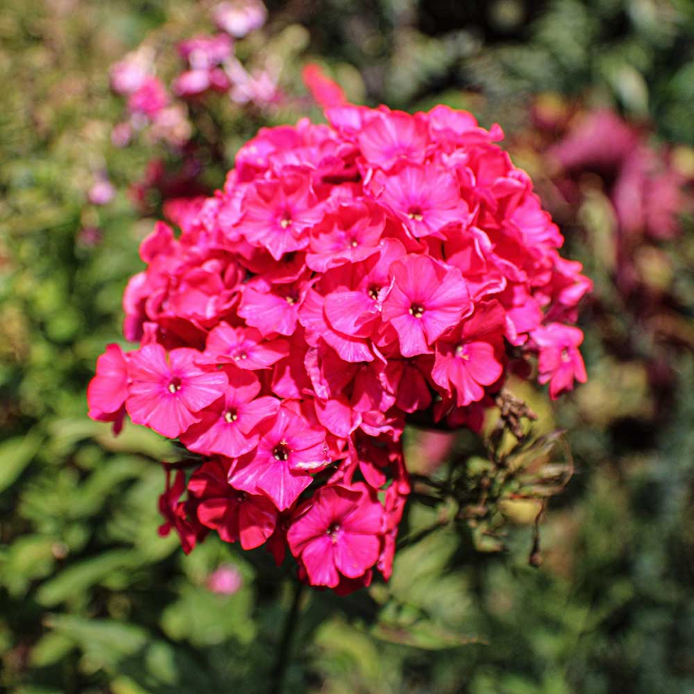 7ea21e7bd155c5b58139a6dfd292efcc