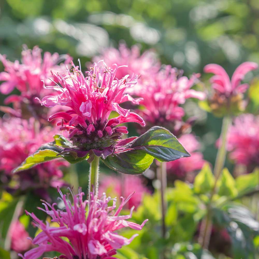 5a730b905b3f82ae7ebdf823d7d0dff2