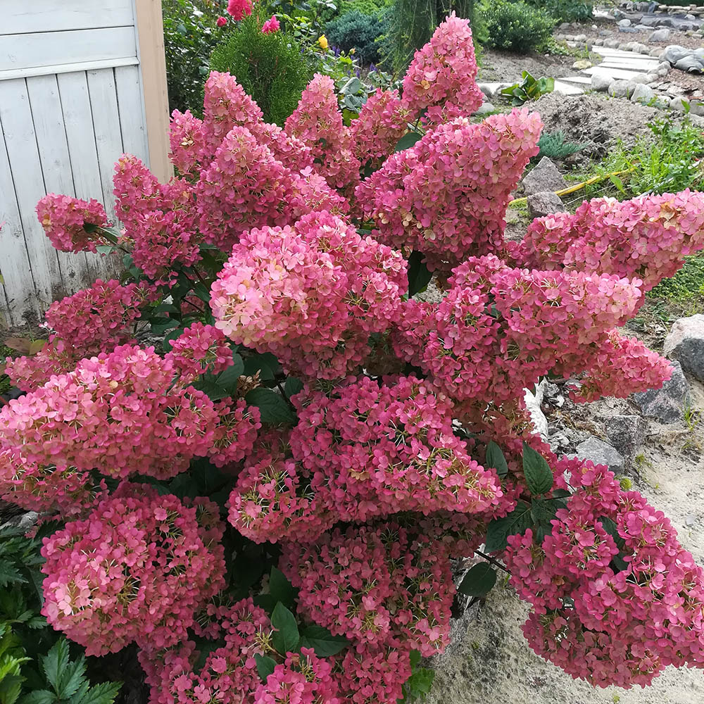 21d8d843d8a7c7228b90755d3aa74175