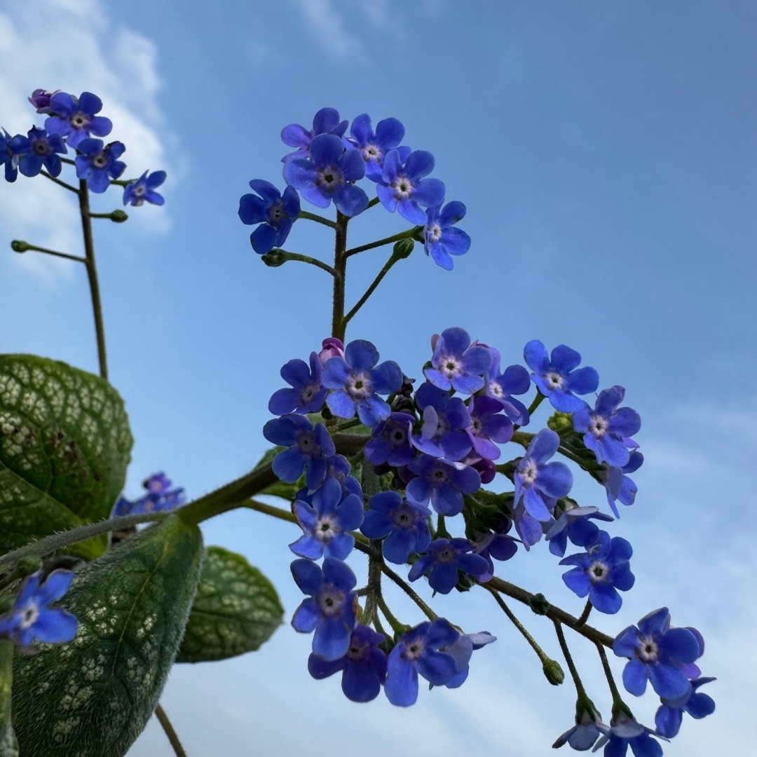 4680a23a9bd64985361862d8e0e37c86