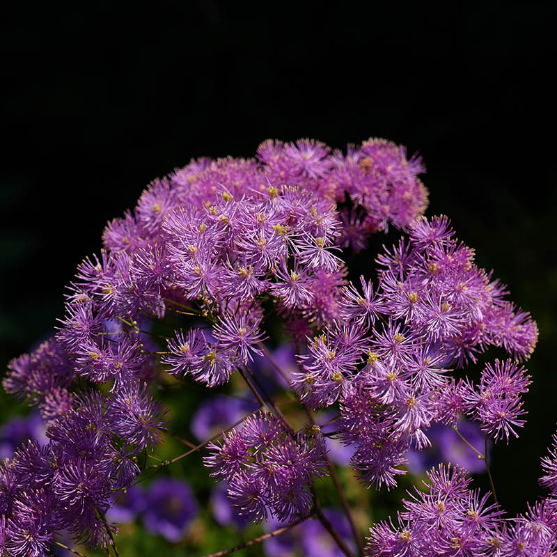 07114c77395d0677ed7197168f6ad628