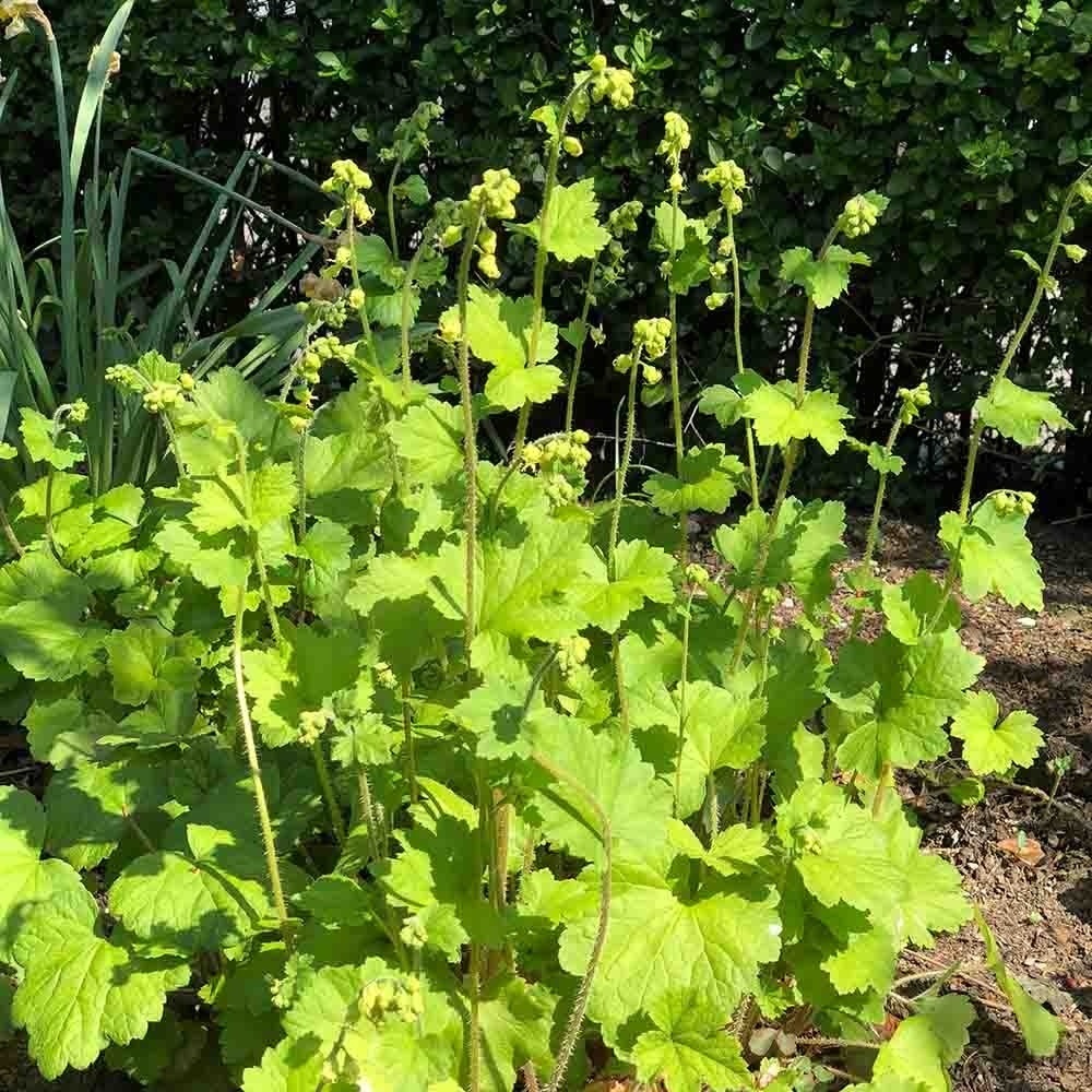 062ac0cd4273d6b63c822b1e9da5f44e