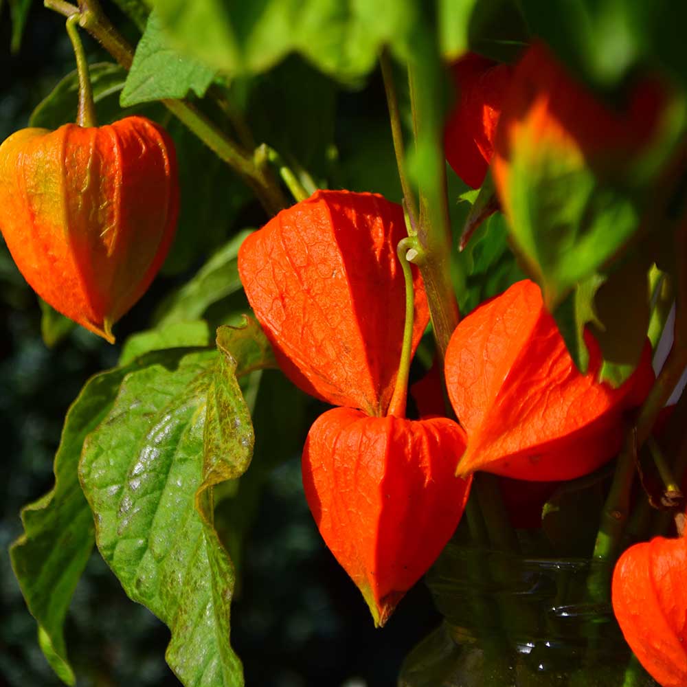 2549cb7801c8004d50be55438e4582cd