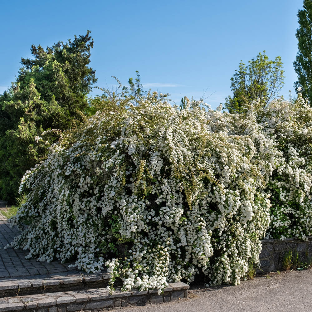 71e1aa7c3cd041b73f4e1e5f304be63e