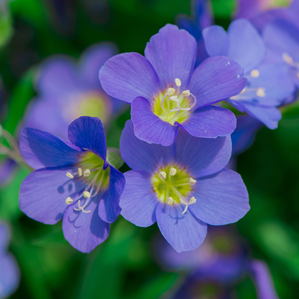 5f5b30cbe2075a8e94283fcd71c8cfab