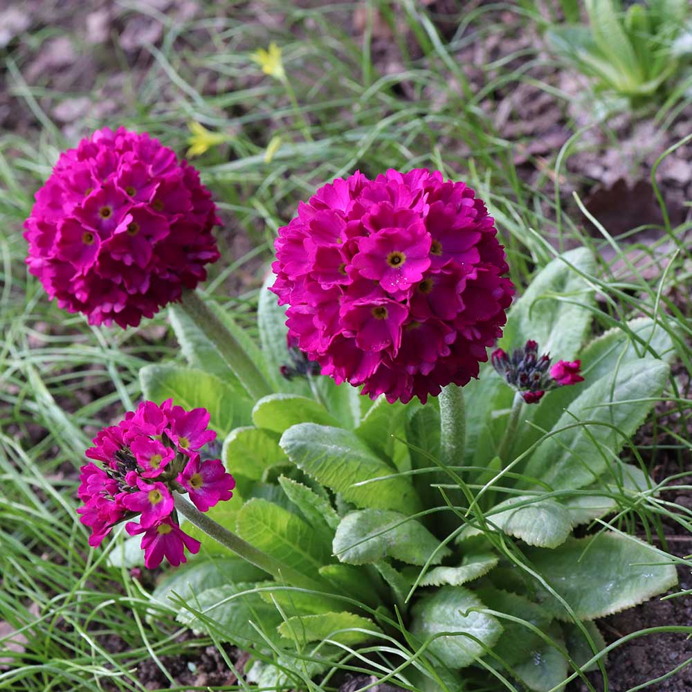 edc1cc6670970609ac22c5a34063f8ed