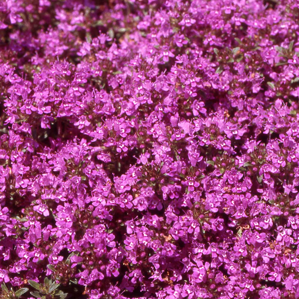 19a73bccb58aebd6ef24c106cb66eb5c