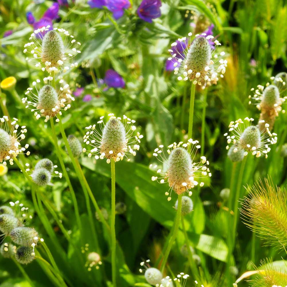 4160d6f6cac0dbb158f2028b26f2ebf3