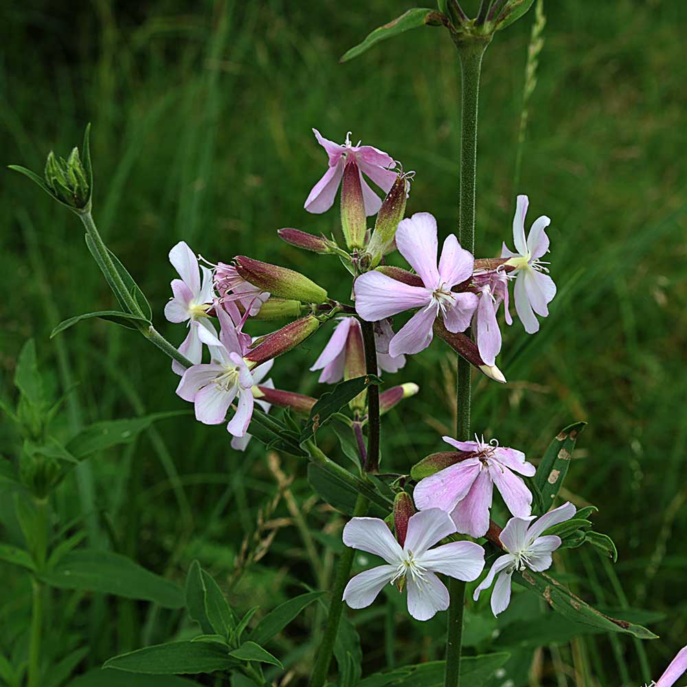 0f58f47be574f4fbef3163d2a86403e3