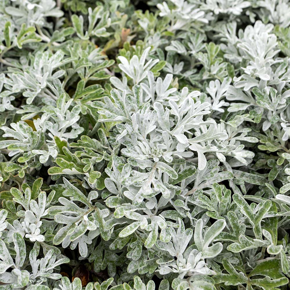 0739f3878e7af9b317842f3fcaa80b8e