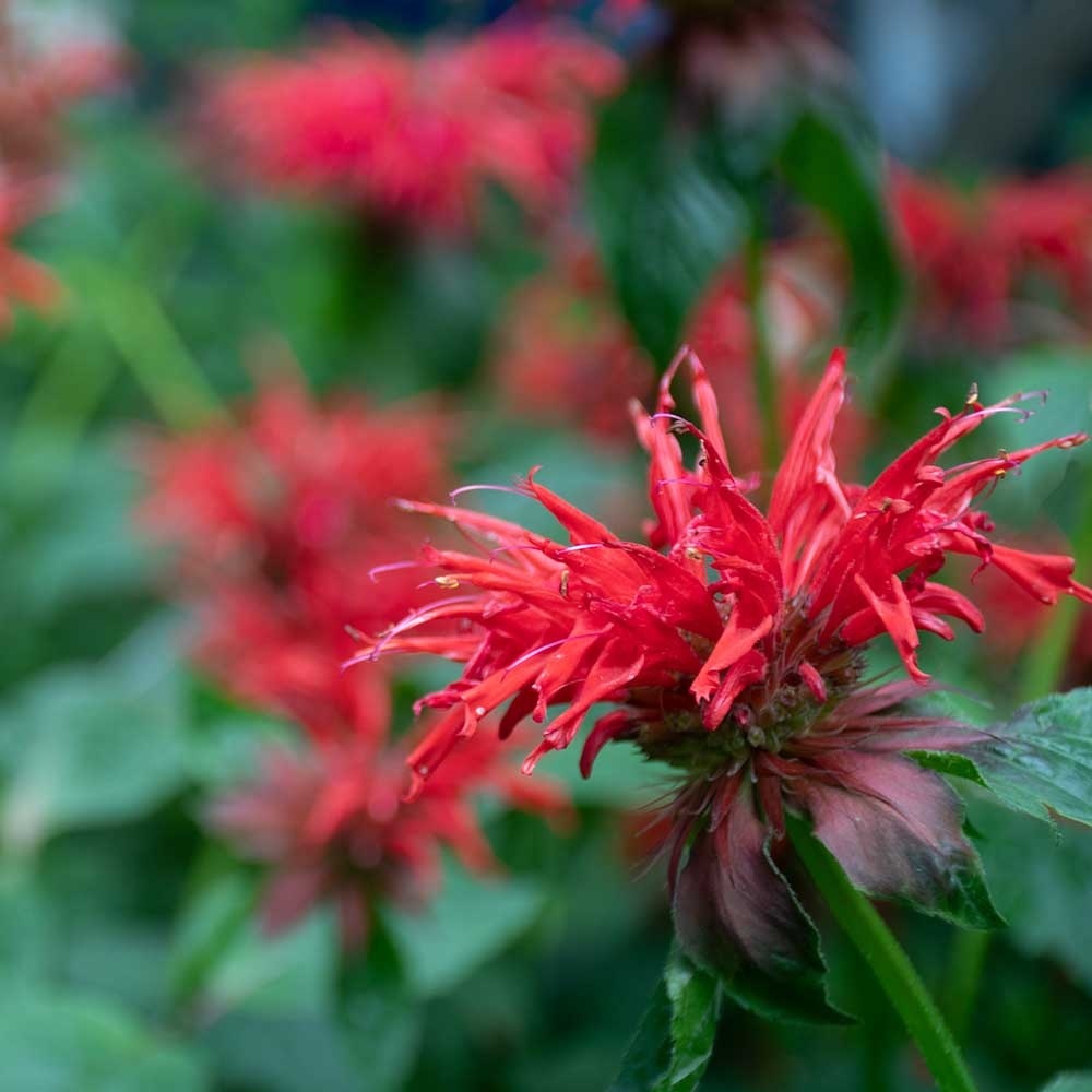 41abcf5ab5e88e9dc7c2a2f55fb7245c