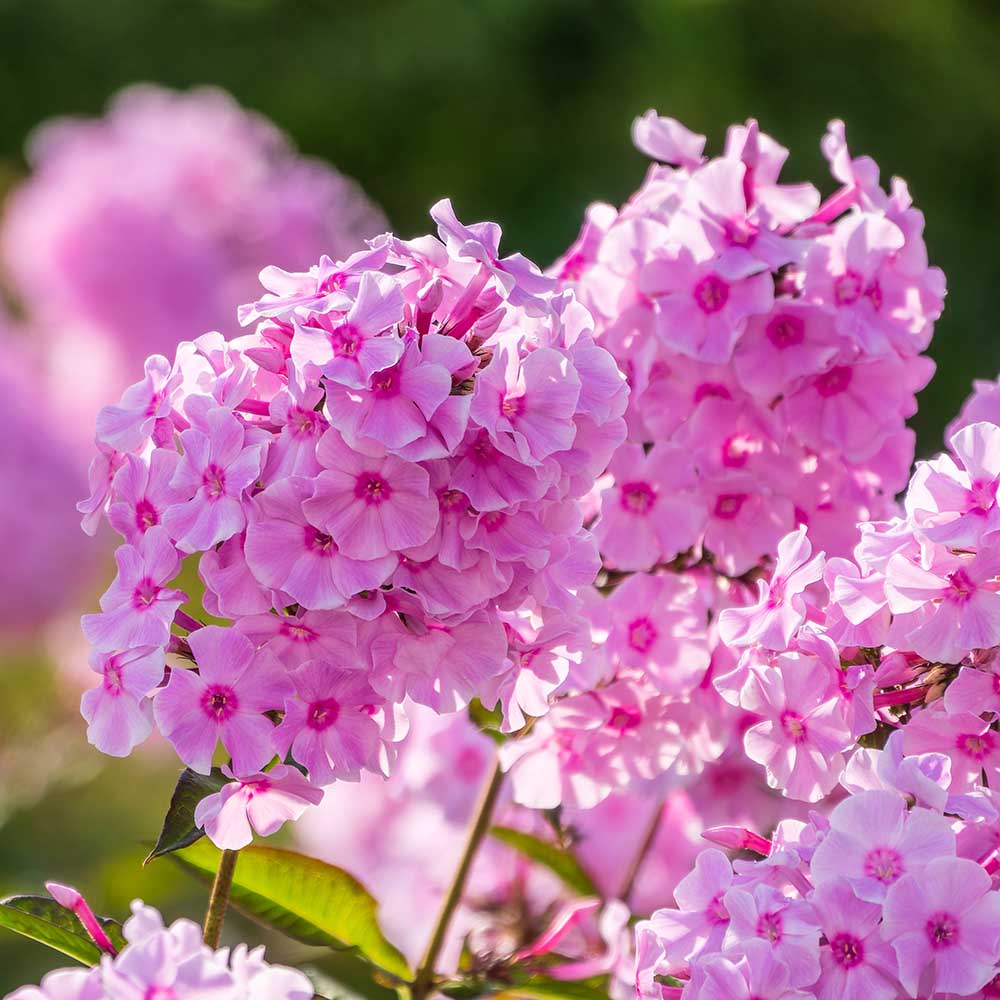 0b32e98503f124017fb7194821d2ca94