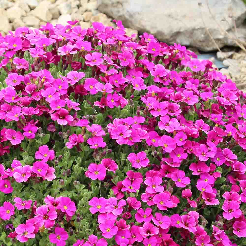 b2436ecbeb31c1fba0521a34b49c1c3d