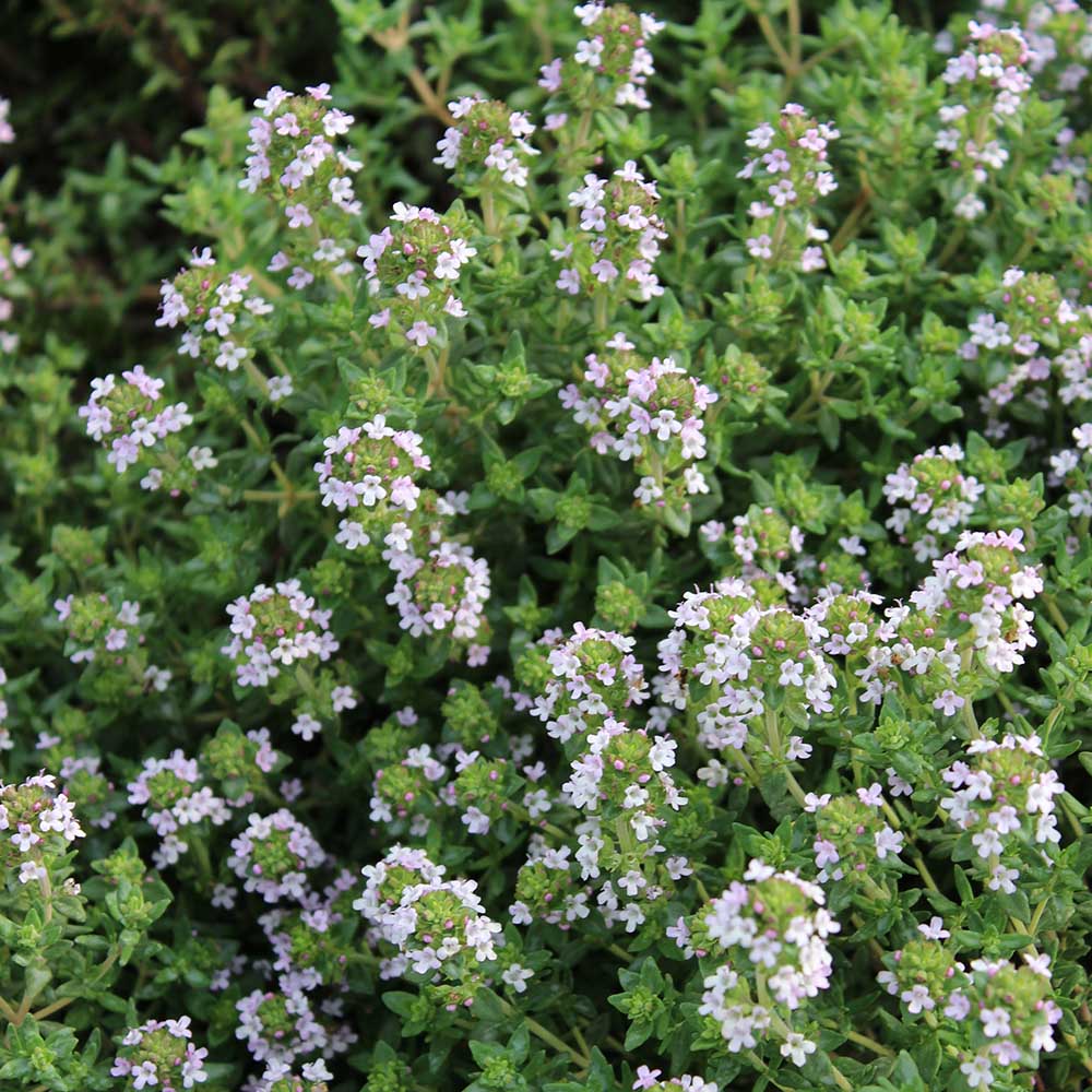 7131e285d3e134f7f5b63090665ad0ac