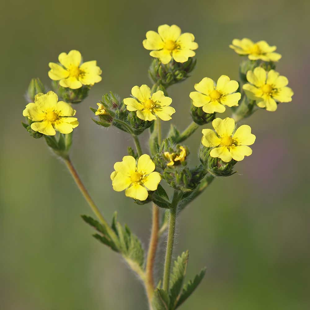 78c962891686d04963b6e6c5c180b8d7