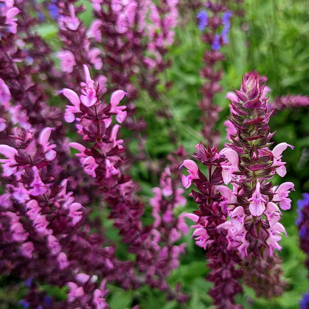 61359d7841fba5617b6e895a6f0ebd56