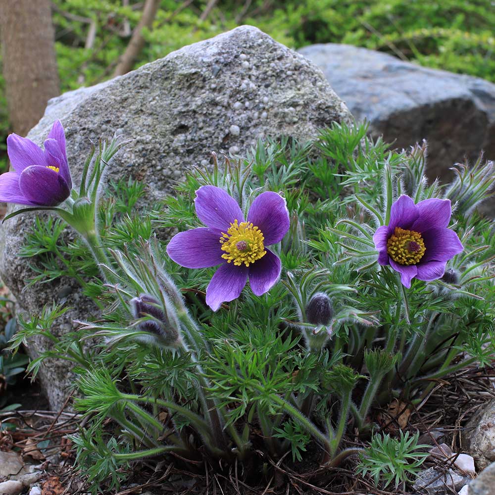 f995c7a955f74c25bf52dabbdd464d20