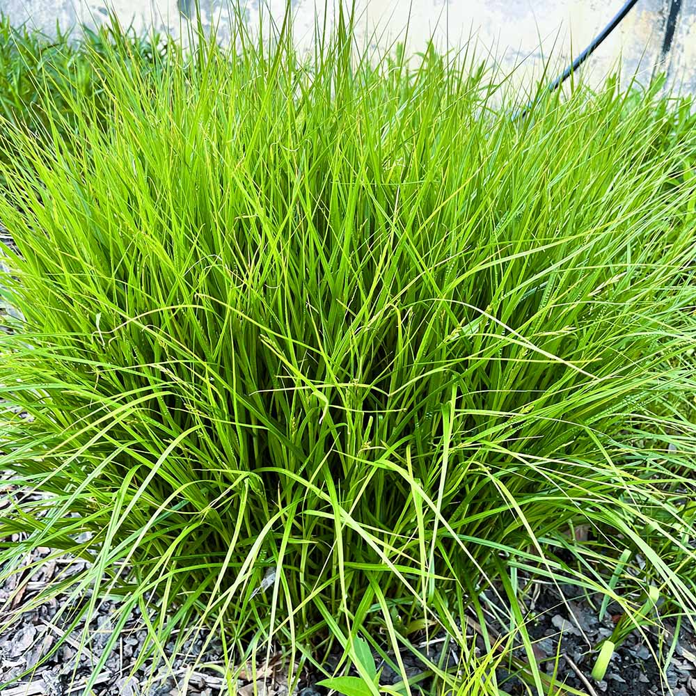 2fb2aad006574d8e47711930bae5b519