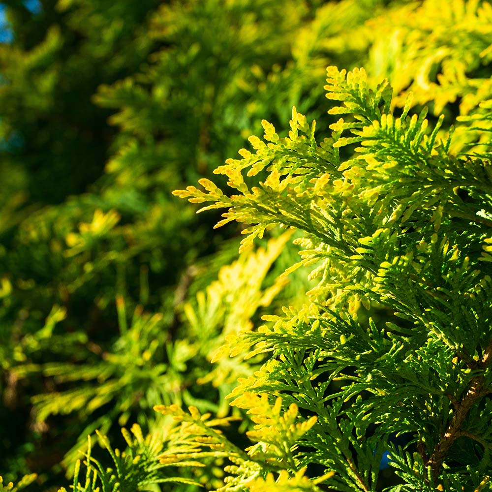 4adc39b4e858998aa0f5f4323ef30eb7