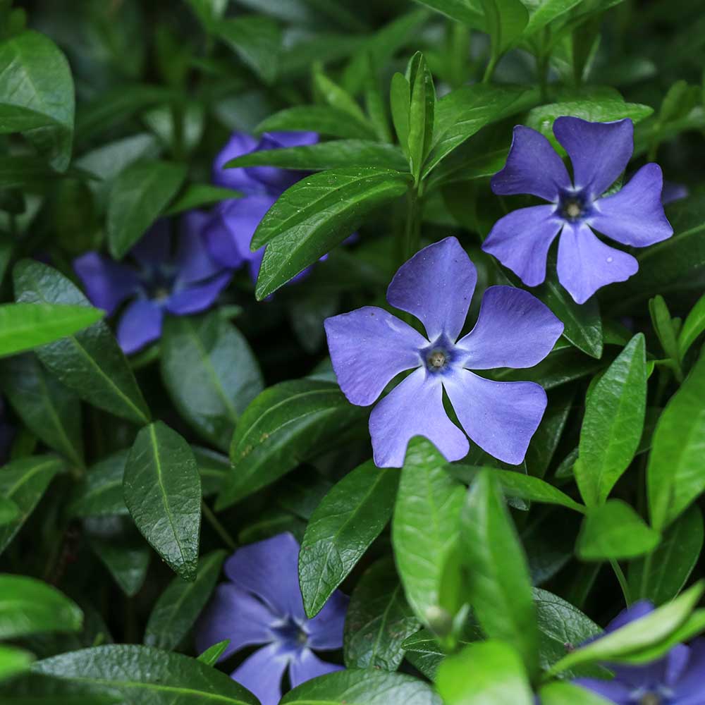 2e56c66a4b424445b5ae97ac1d6379a3