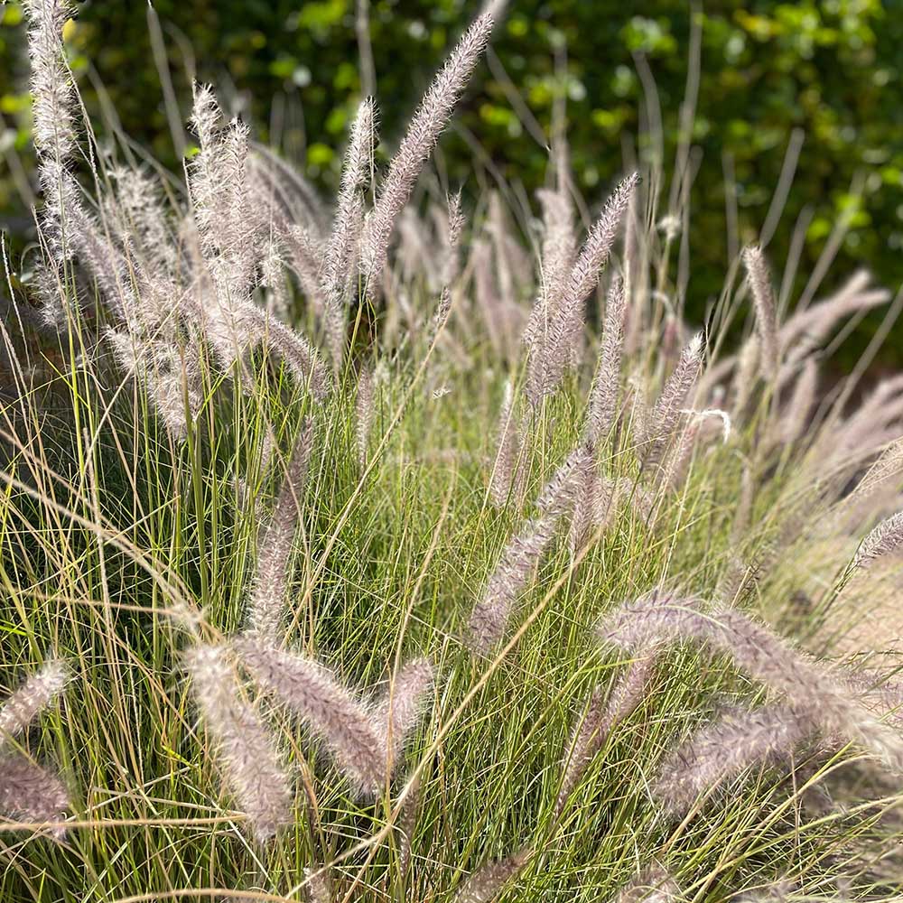 6b239de1cf8624696c38ff60f428f8da