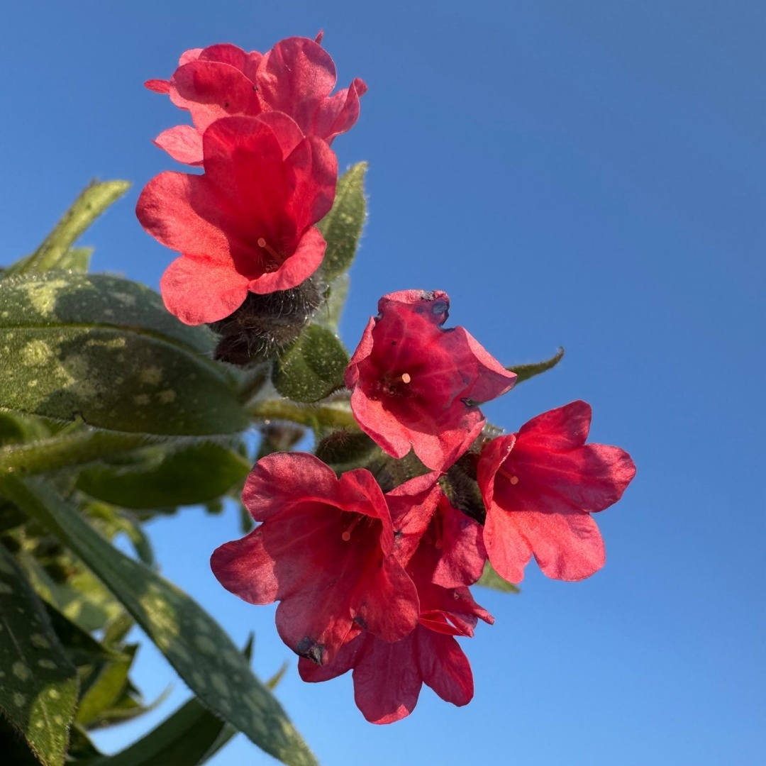 f41d6e984eddd76250424c210db763ee