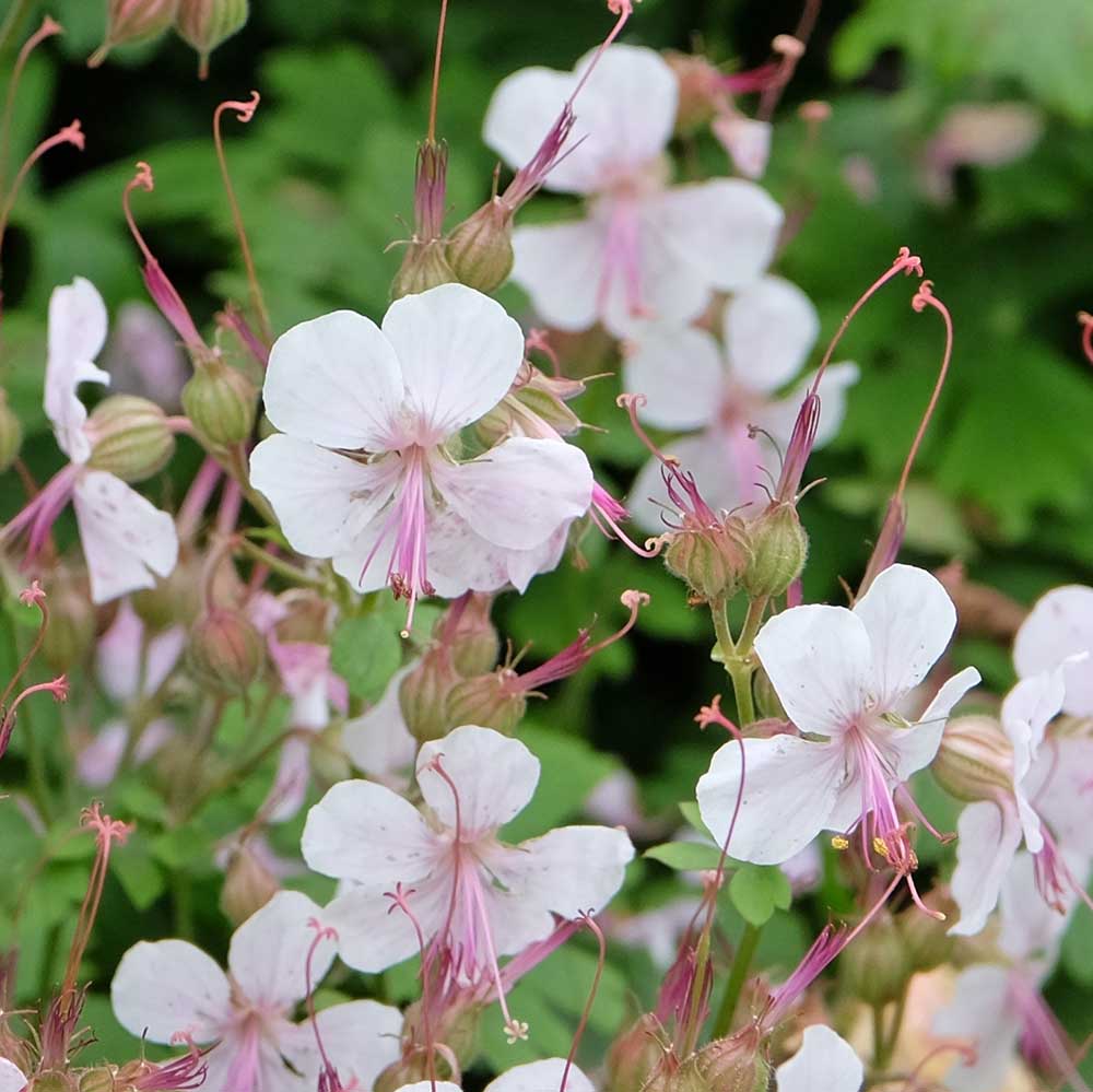 bdb3c49a5a7b806c5a55b816c99d8f20