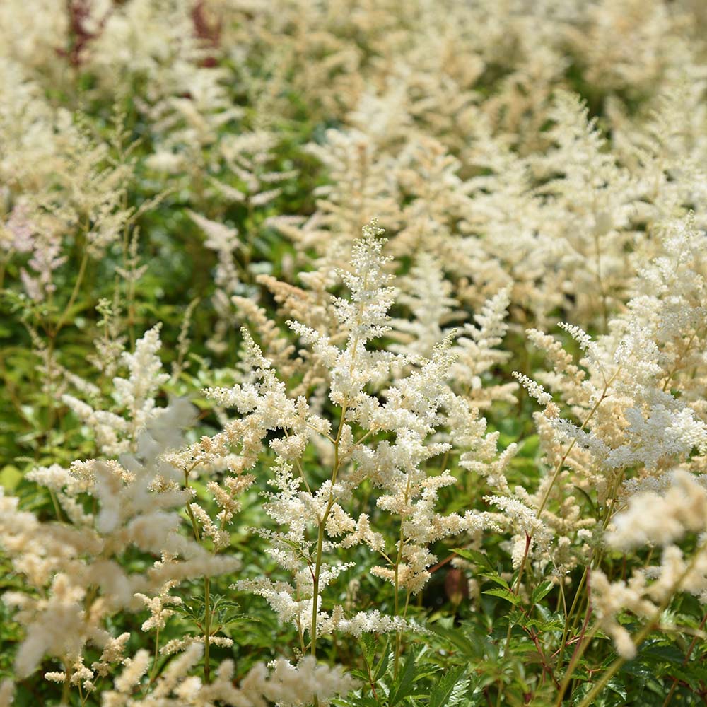 7807cc0ddd40fb5479ccaaf63b8238a1