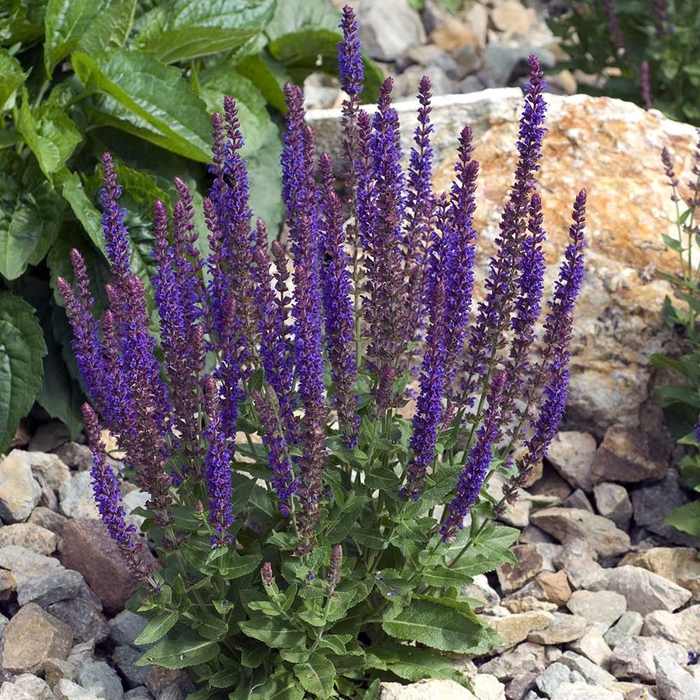 5062387e3d18c9cf003282071229fc71