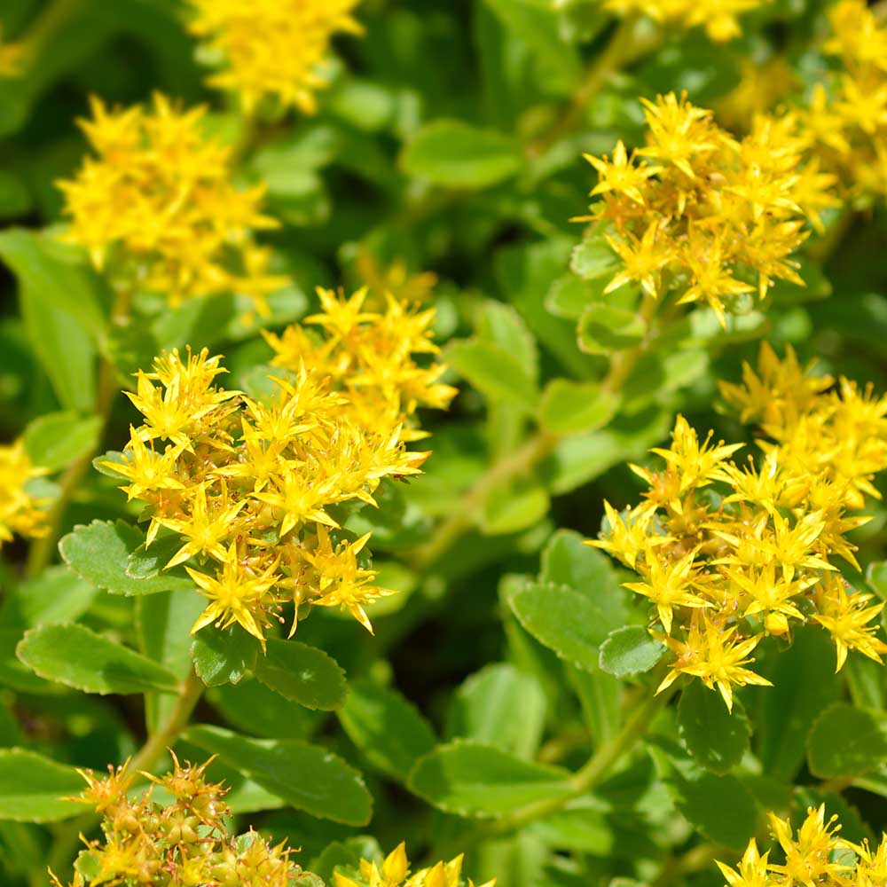 e8707d56170abada8d623a43440d71cd