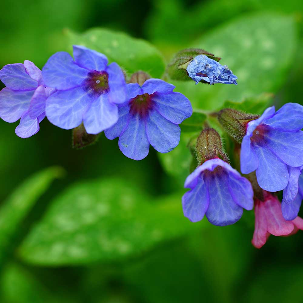 6e8e7556080267a57a50326aa787b3db