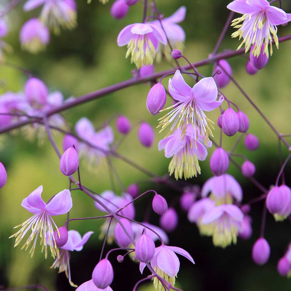 f77f5136ba9ce6136049053e66c8b265