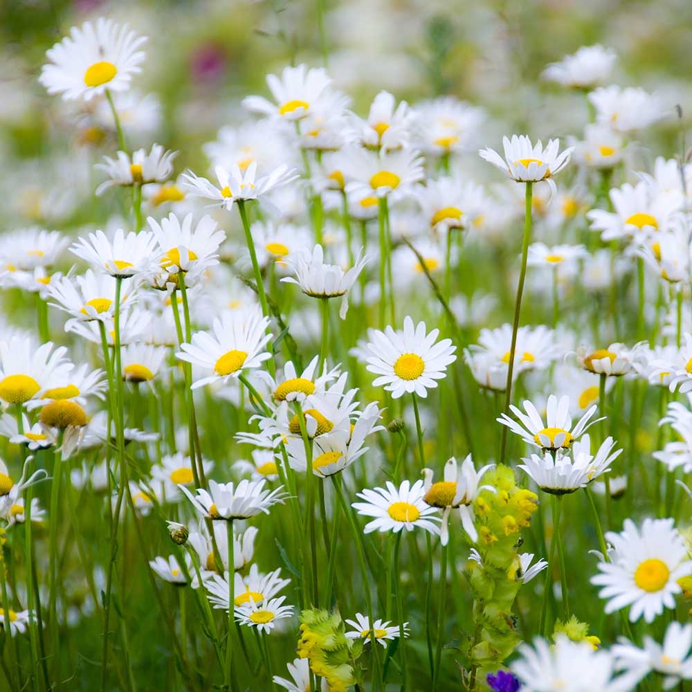 0ddc5b2d3d267e4d4b095e974e2e0692