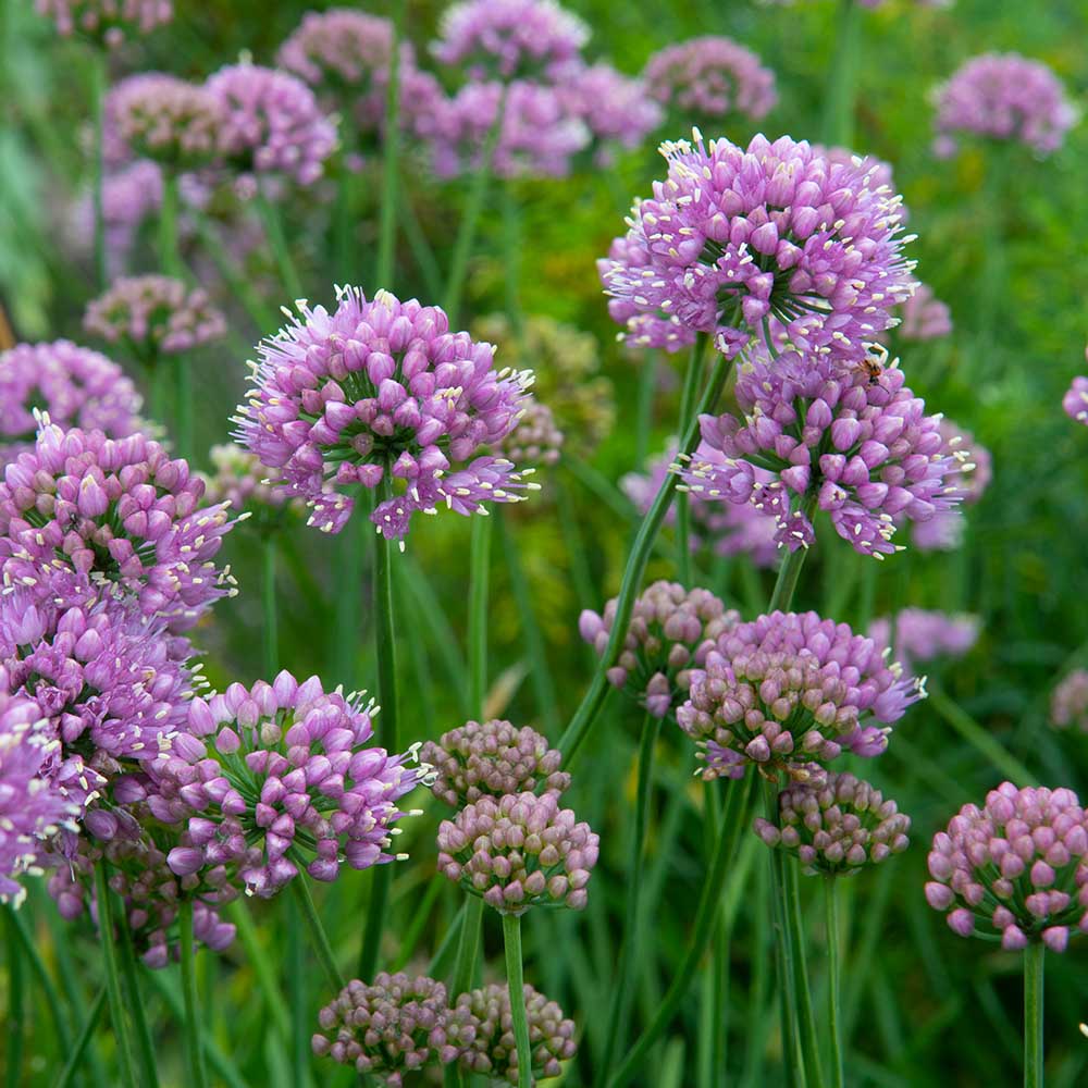 3f7e58949429179fcc0da23dd3f39263