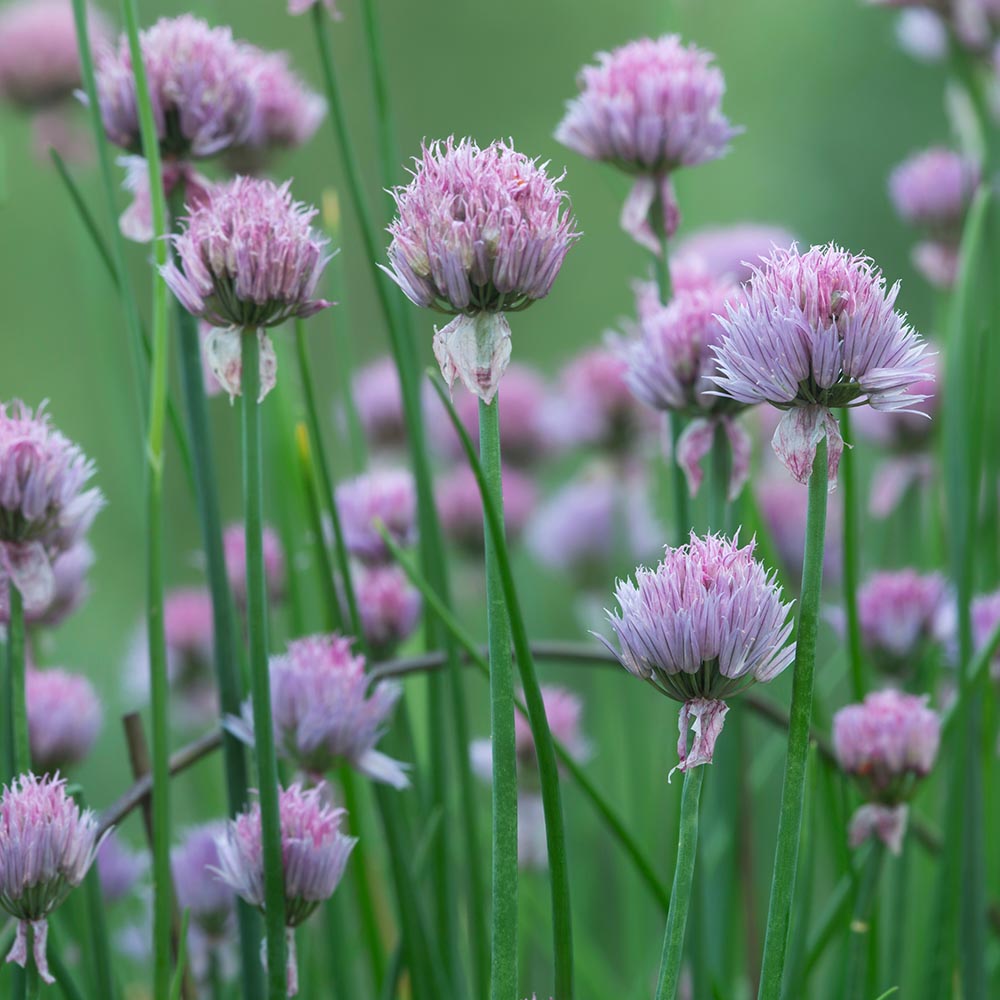 35dbb82b1f418930fcba9385258acf6b