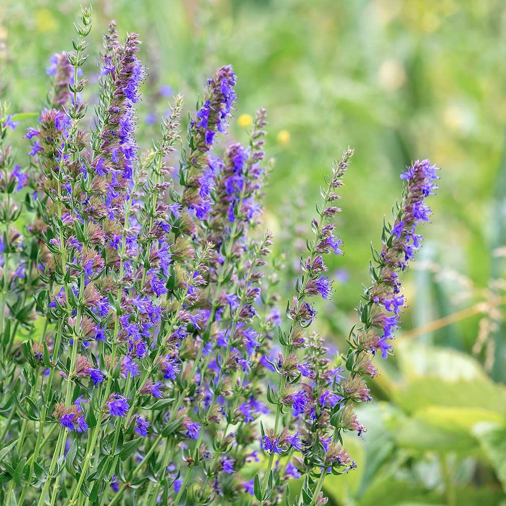 828d8594a0f565490f3254d6b953d165