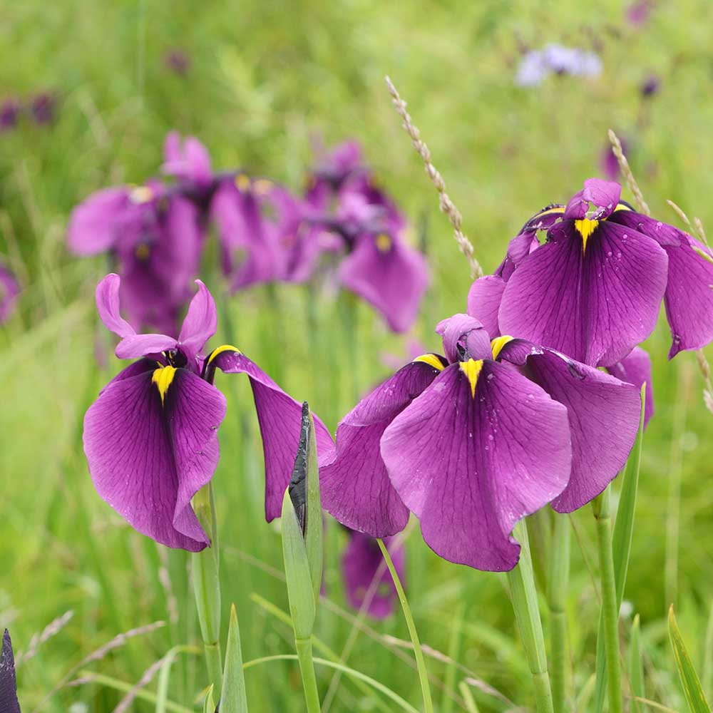 a5484f83c13696319d37c3406e6e5976