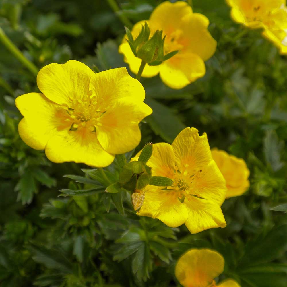 d590550bcab318aa57fe4d24c42da474