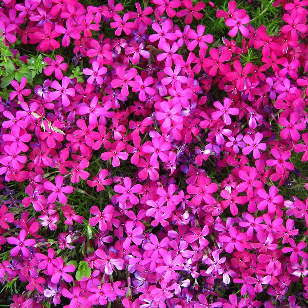 f7dd645c12fe53f08f3e49556a56216c