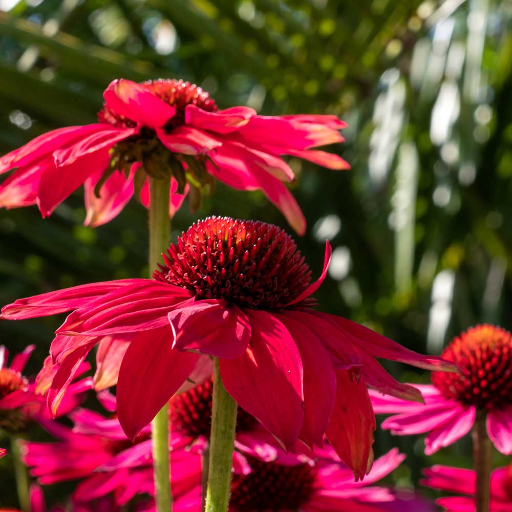 ed5f802f8ea242230823dfae7df6996c